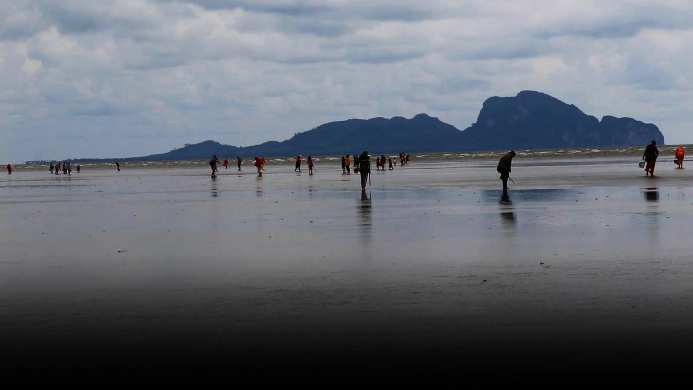 ชาวบ้านแห่เก็บหอยตะเภาขายหารายได้เสริม