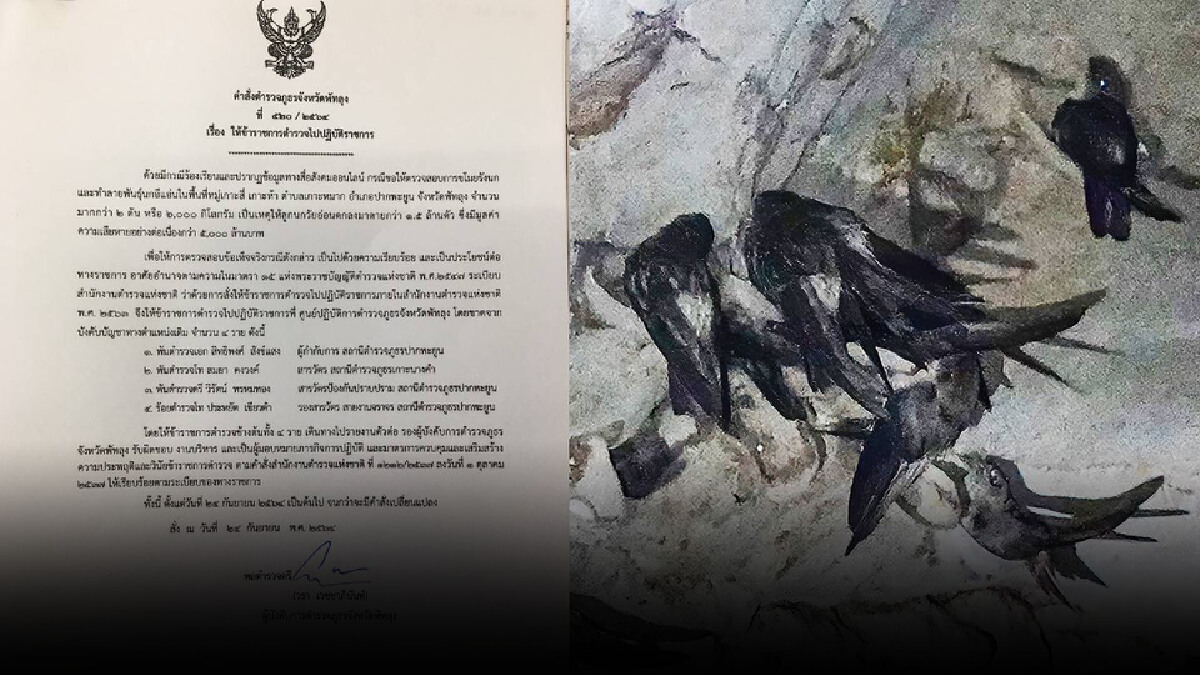 รังนกพ่นพิษ! สั่งย้าย 4 นายตำรวจ หลังพบพัวพันกับคดีรังนกสูญหาย รังนกพ่นพิษ! สั่งย้าย 4 นายตำรวจ หลังพบพัวพันกับคดีรังนกสูญหาย