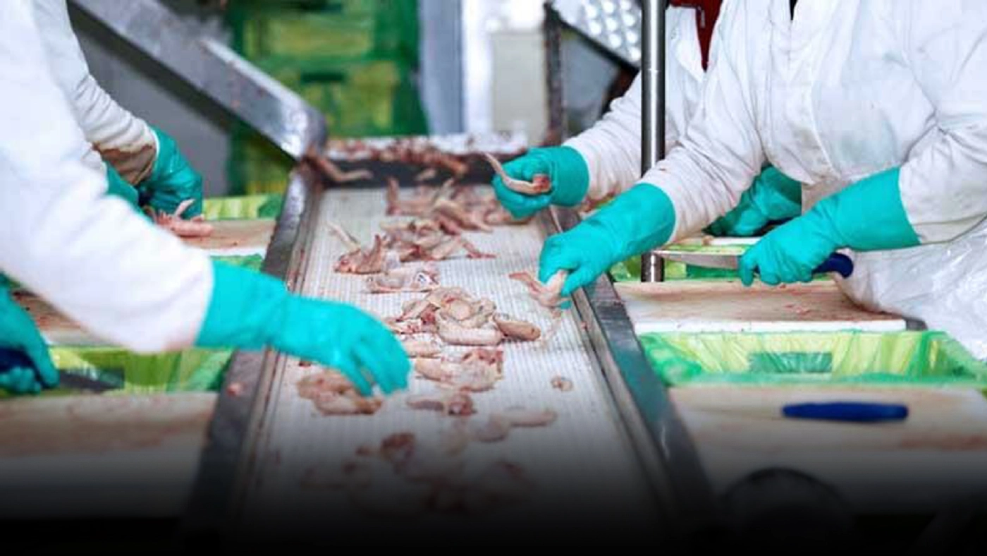 อุตสาหกรรมอาหารไทยปี 64 โตแกร่งสวนโควิด-19