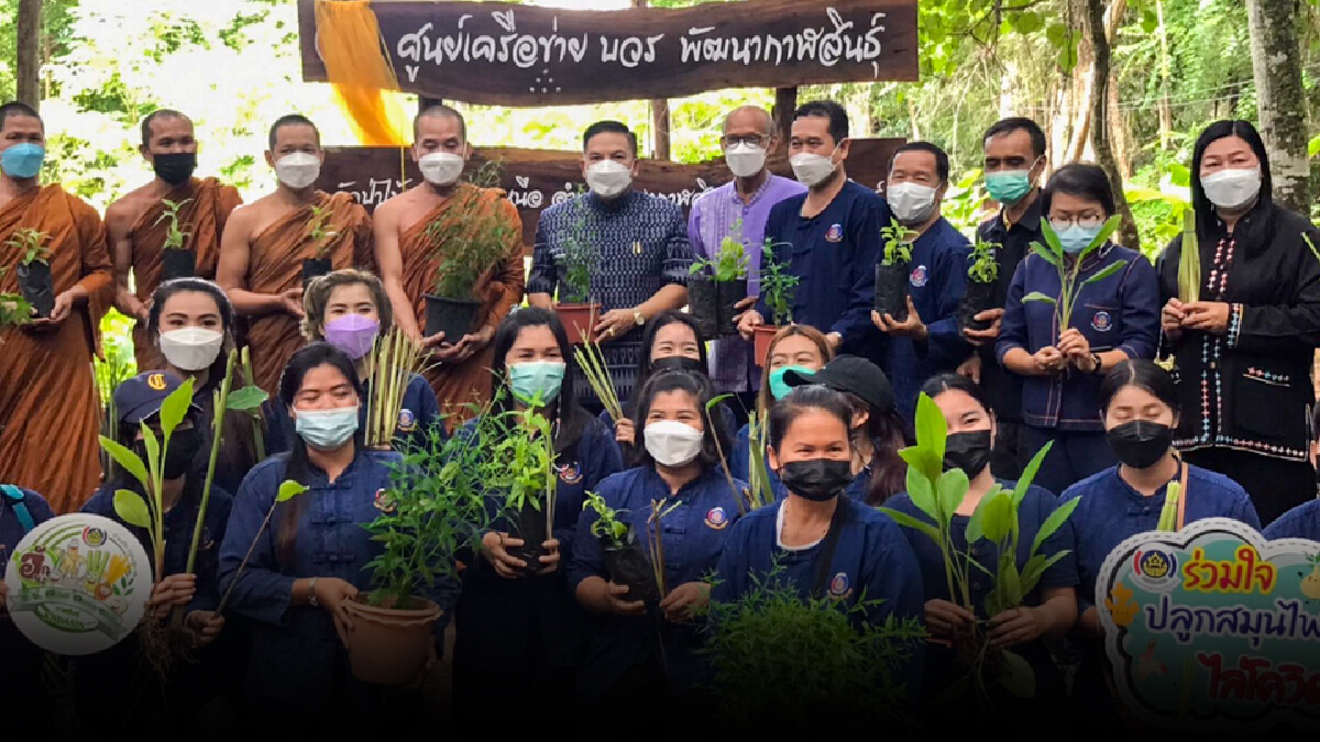 สามัคคีเครือข่าย บวร.พัฒนารวมสุดยอดสมุนไพรต้านภัยโควิด สามัคคีเครือข่าย บวร.พัฒนารวมสุดยอดสมุนไพรต้านภัยโควิด