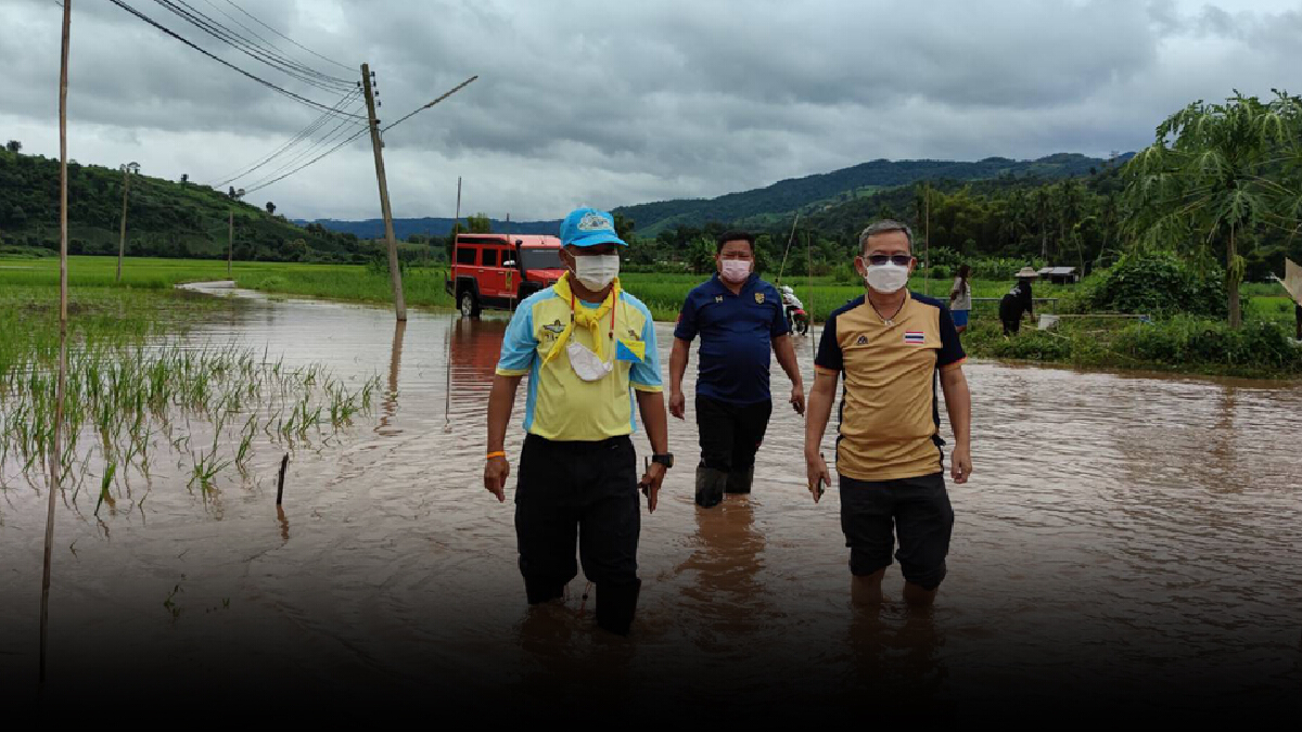 ฝนหนักเกิดน้ำป่าไหลหลากท่วมนาข้าว-บ้านเรือนราษฎร ฝนหนักเกิดน้ำป่าไหลหลากท่วมนาข้าว-บ้านเรือนราษฎร