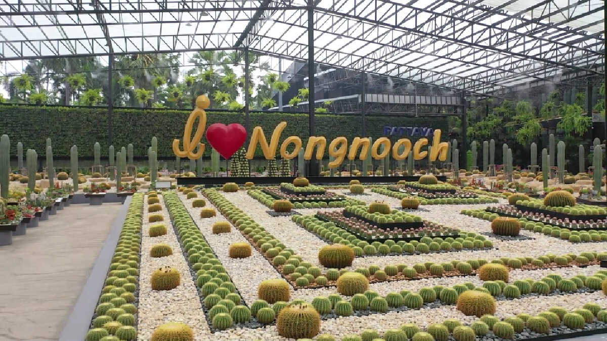 สวนนงนุชพัทยาเปิดให้บริการแล้ว พร้อมโปรโมชั่นพิเศษสำหรับผู้ฉีดวัคซีนครบ 2 เข็ม เข้าชมสวนฟรี สวนนงนุชพัทยาเปิดให้บริการแล้ว พร้อมโปรโมชั่นพิเศษสำหรับผู้ฉีดวัคซีนครบ 2 เข็ม เข้าชมสวนฟรี