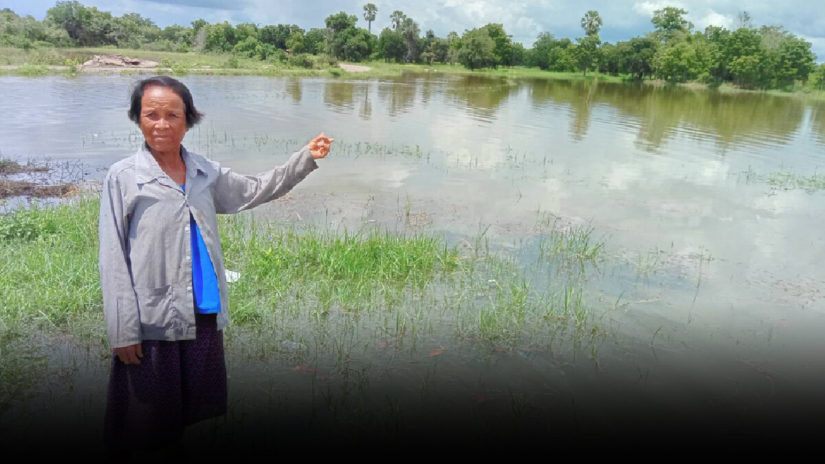 น้ำป่าไหลเข้าท่วมนาข้าวและพื้นที่การเกษตรเสียหายกว่า100ไร่
