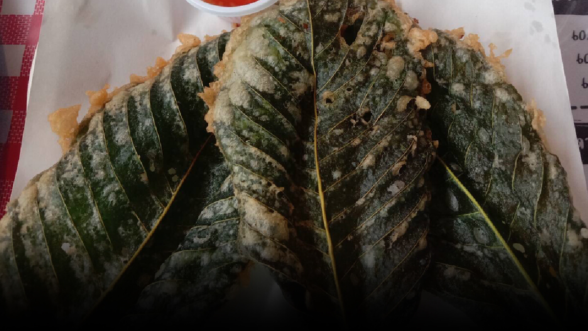 ร้านเหล้าปรับโฉมใหม่หันหันขาย "กระท่อมปั่น-ทอดกรอบ" ร้านเหล้าปรับโฉมใหม่หันหันขาย "กระท่อมปั่น-ทอดกรอบ"