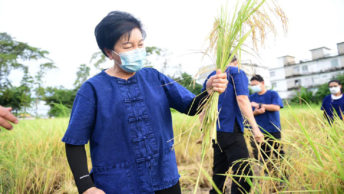 ศูนย์การเรียนรู้เกษตรอินทรีย์โคกหนองนา คืบหน้าแล้ว90%