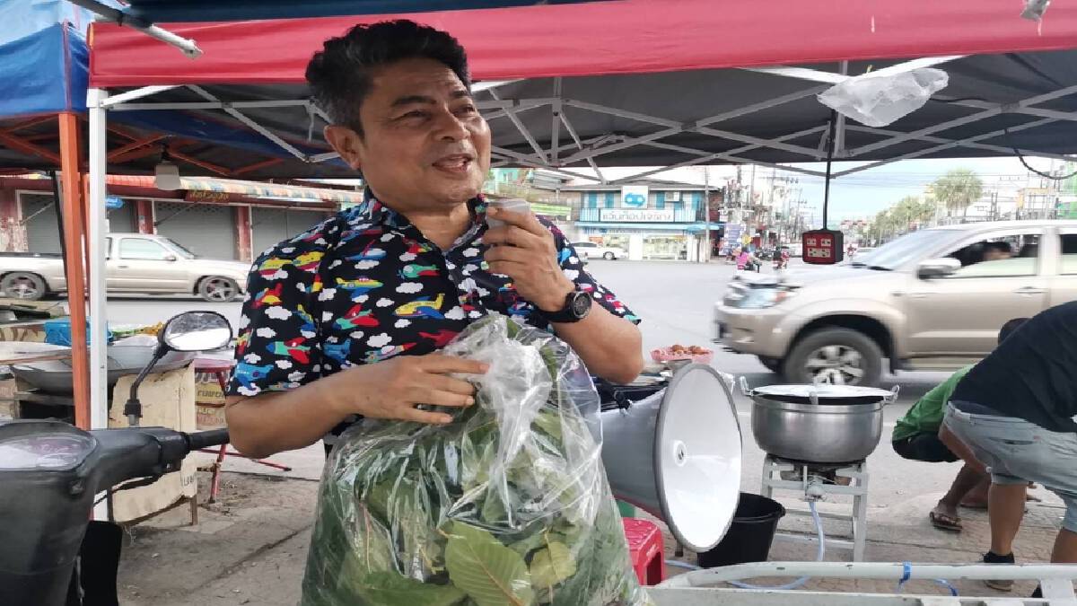 "เทพไท" เตือนรัฐบาล เร่งออกมาตรการรับมือพืชกระท่อมล้นตลาด "เทพไท" เตือนรัฐบาล เร่งออกมาตรการรับมือพืชกระท่อมล้นตลาด