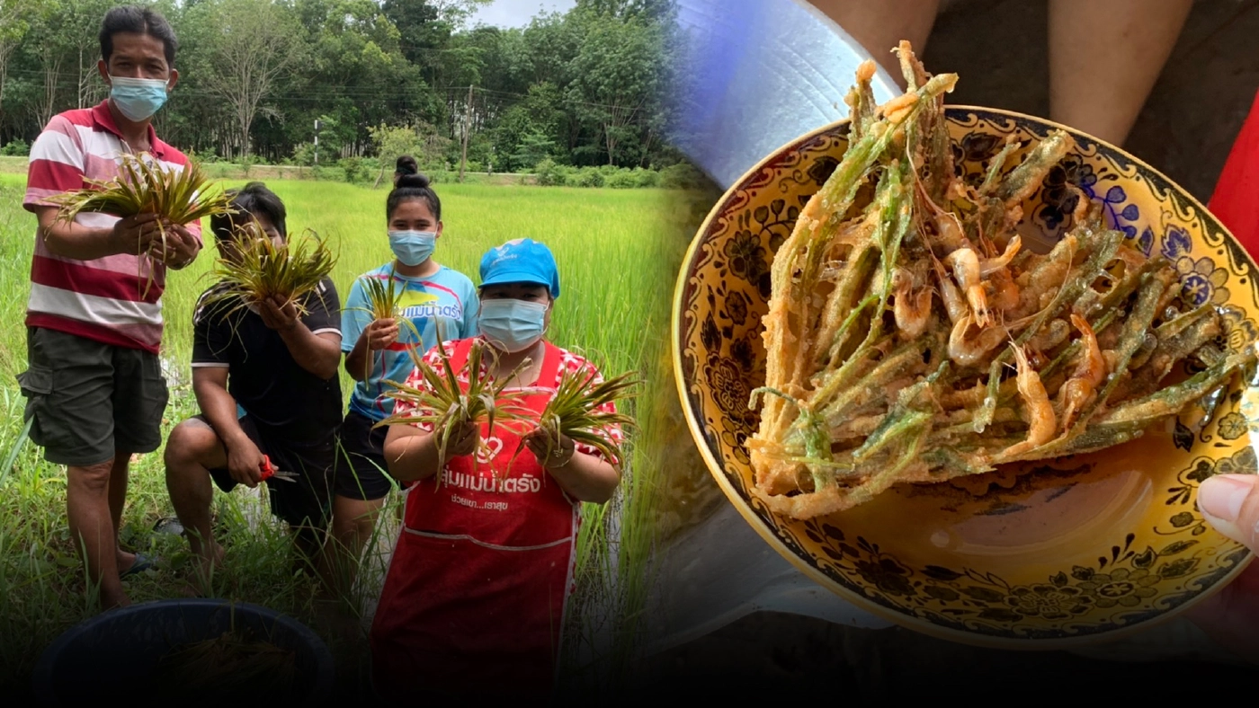 ชวนไปกินหญ้าทอด "หญ้ามารวย" หนึ่งปีมีครั้งเดียว