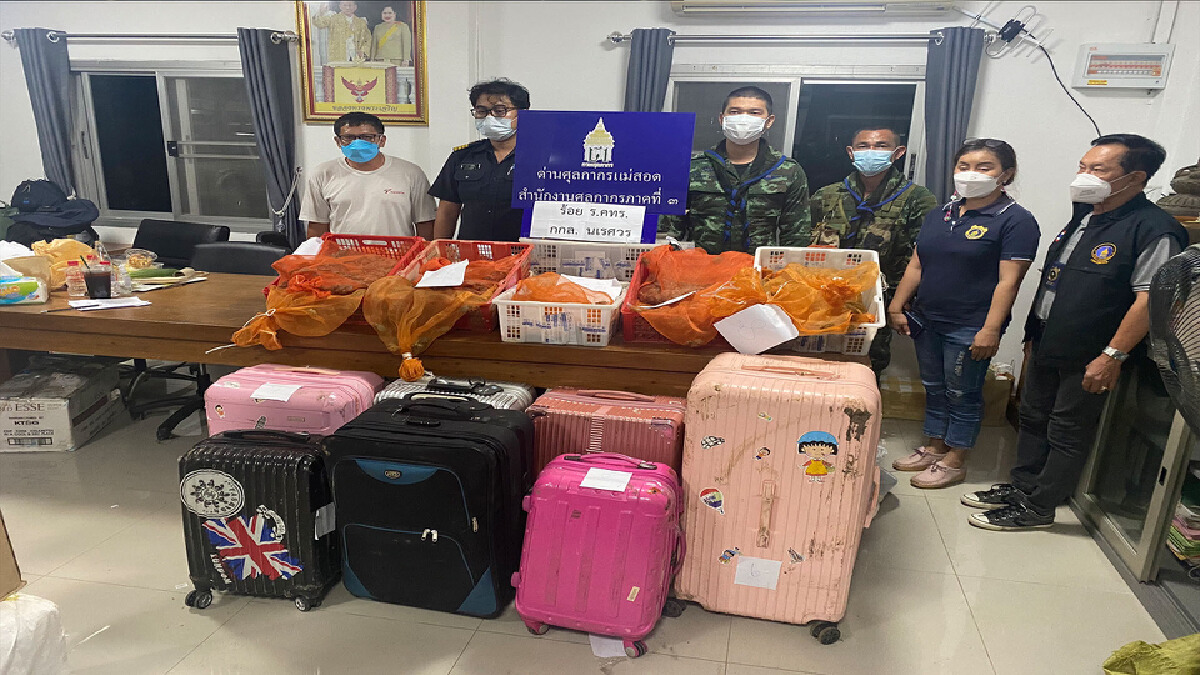 ทหารยึดเต่าญี่ปุ่น9พันตัว-ลักลอบจากฝั่งพม่า ทหารยึดเต่าญี่ปุ่น9พันตัว-ลักลอบจากฝั่งพม่า