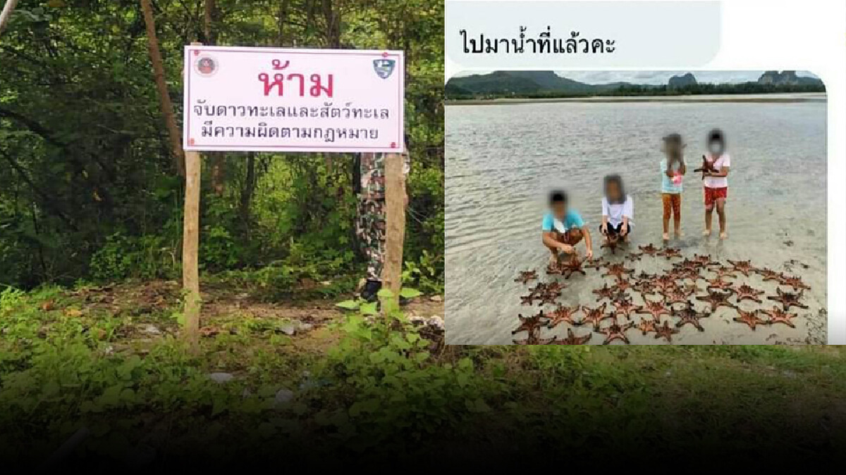 เตือน!! จับดาวทะเล มีความผิดตาม พรบ.อุทยานแห่งชาติ เตือน!! จับดาวทะเล มีความผิดตาม พรบ.อุทยานแห่งชาติ