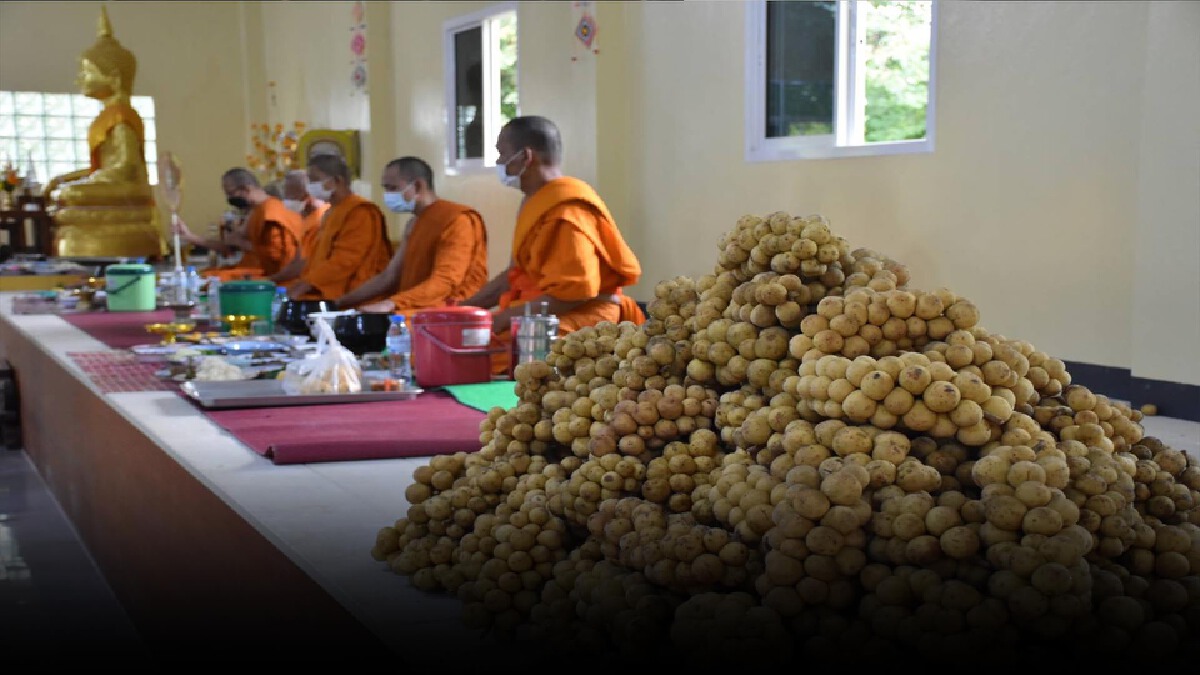 ชาวลับแลสืบสานกว่า100ปี "ประเพณีดอยลางสาด" ชาวลับแลสืบสานกว่า100ปี "ประเพณีดอยลางสาด"