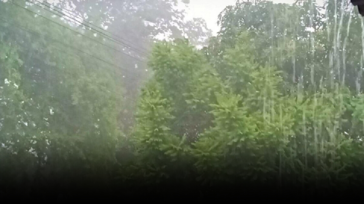 อุตุฯ เผย เหนือ-อีสาน ฝนยังหนัก ส่วนภาคอื่นลดลง