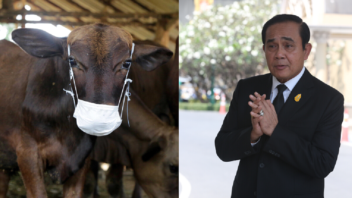 เพื่อไทยรู้และ"บิ๊กตู่"คะแนนนิยมตกเพราะ? เพื่อไทยรู้และ"บิ๊กตู่"คะแนนนิยมตกเพราะ?