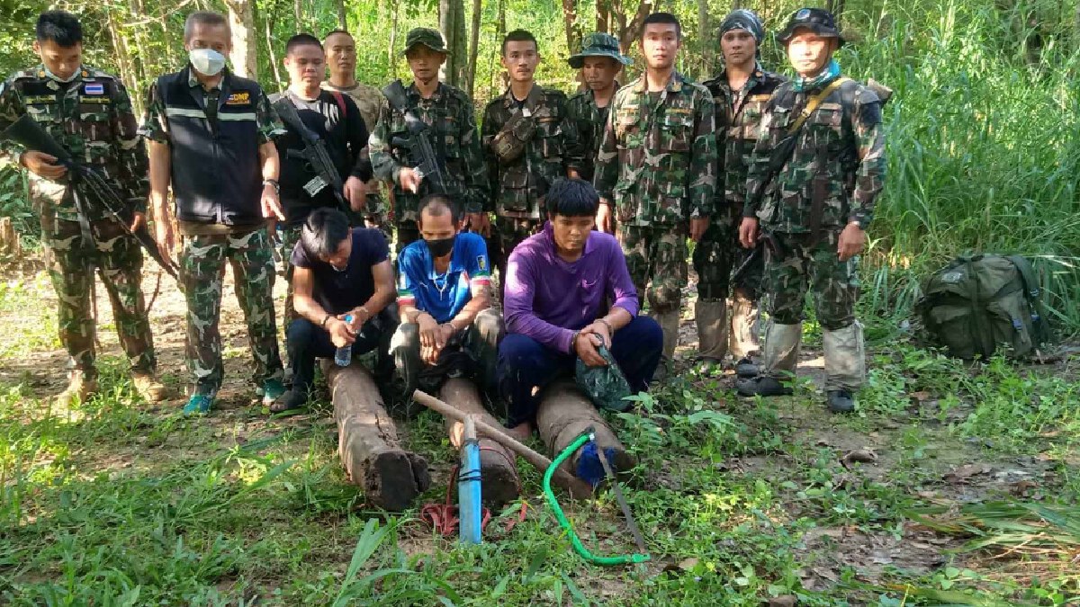 จับมอดไม้ตัดพะยูงเขาใหญ่ได้ผู้ต้องหา 3 คน จับมอดไม้ตัดพะยูงเขาใหญ่ได้ผู้ต้องหา 3 คน
