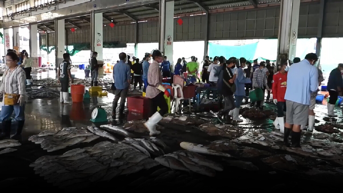 โควิดระบาด-การเมืองภายในเมียนมาร์กระทบนำเข้าสัตว์น้่ำระนอง