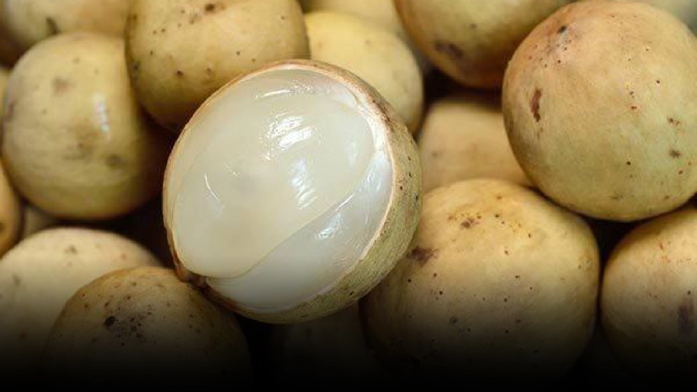 รัฐดันราคาลองกอง เกรดคละ 12 บาท/กิโลกรัม