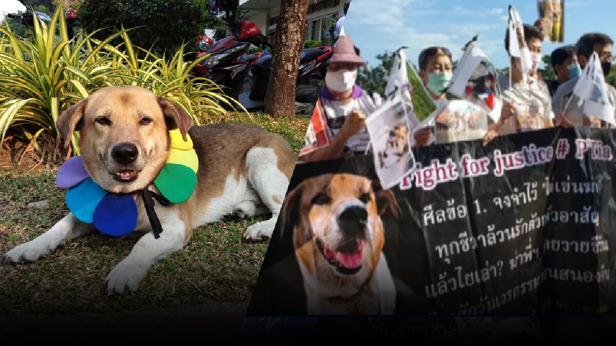 ใกล้จบ! ศาลนัดพิจารณาคดี "พี่เตี้ย มช." ยื่นฟ้องตำรวจ ตชด.ลักทรัพย์-ทารุณฯ ใกล้จบ! ศาลนัดพิจารณาคดี "พี่เตี้ย มช." ยื่นฟ้องตำรวจ ตชด.ลักทรัพย์-ทารุณฯ