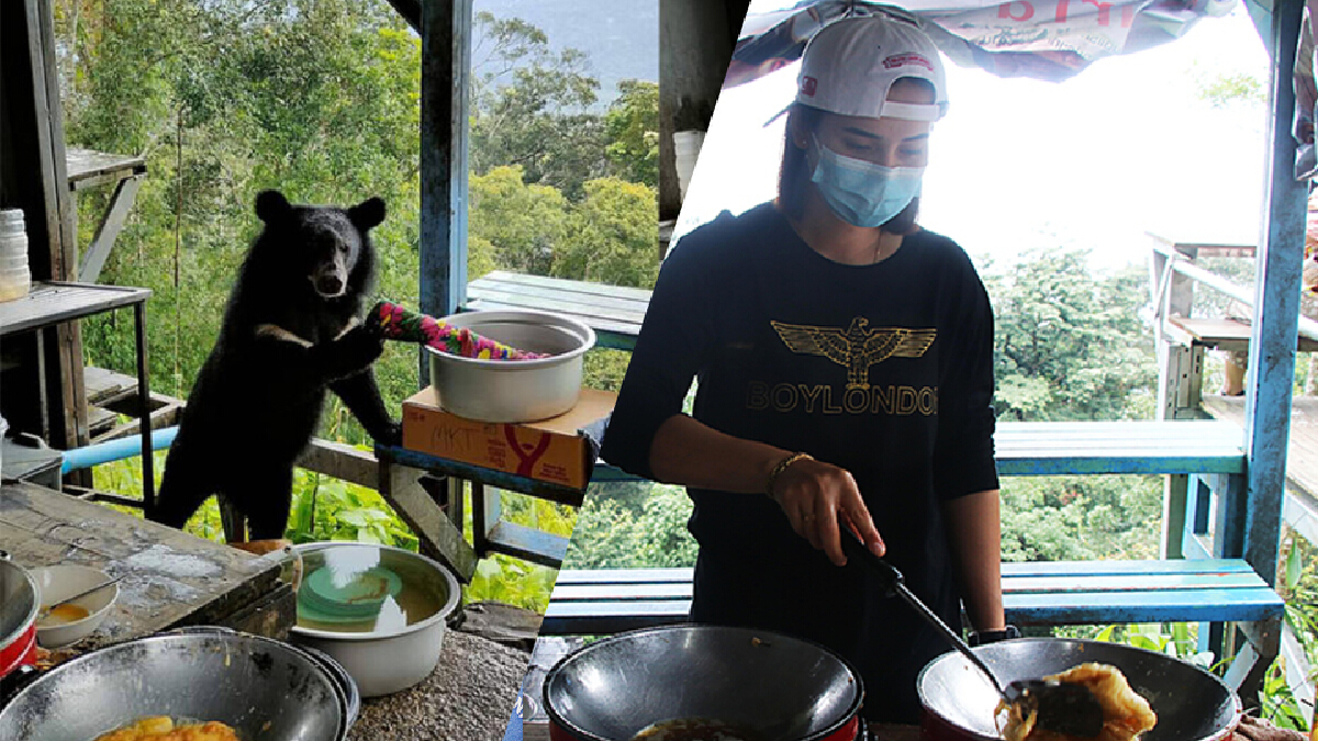 คิวยังแน่น "ไข่เจียวผาตรอมใจ" ใกล้ถึงเวลาเลิกขาย คนทอดไข่รับเสียดาย คิวยังแน่น "ไข่เจียวผาตรอมใจ" ใกล้ถึงเวลาเลิกขาย คนทอดไข่รับเสียดาย