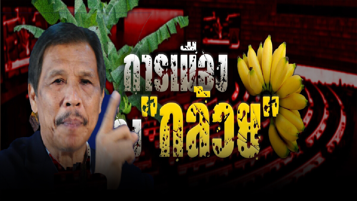 เปิดหมดเปลือกสภา "กล้วย" แจกกันจริงหรือไม่