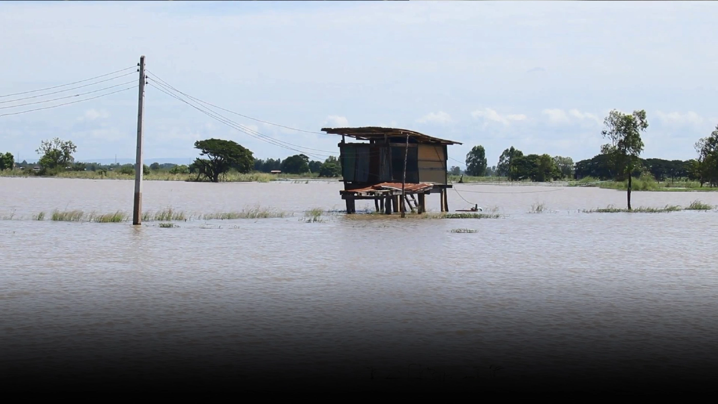 น้ำท่วมนากว่าสัปดาห์-ข้าวเริ่มเน่าเสีย