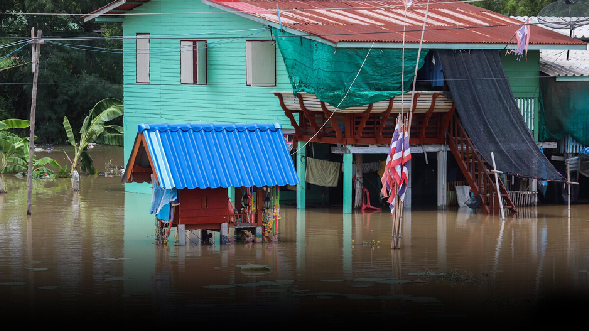 น้ำเริ่มเอ่อท่วมพื้นที่ลุ่มต่ำ "อยุธยา" หลังเขื่อนเจ้าพระยาระบายน้ำเพิ่ม น้ำเริ่มเอ่อท่วมพื้นที่ลุ่มต่ำ "อยุธยา" หลังเขื่อนเจ้าพระยาระบายน้ำเพิ่ม