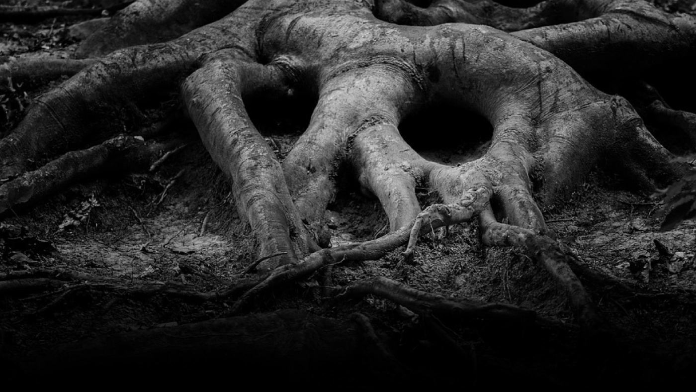 เปิดความเชื่อ ! ทำไมต้องบูชาเจ้าป่าเจ้าเขา ?