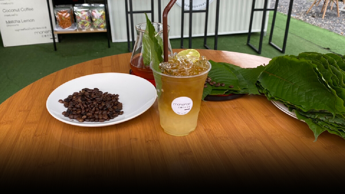 ชู 3 เมนูกาแฟผสมใบกระท่อมเปิดขาย 3 วันออเดอร์เพียบ ชู 3 เมนูกาแฟผสมใบกระท่อมเปิดขาย 3 วันออเดอร์เพียบ