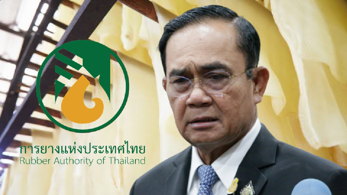 "ทวี สอดส่อง"ยื่นป.ป.ช. 29 ก.ย.นี้สอย"ประยุทธ์-ผู้ว่าฯกยท."ทุจริตขายยาง "ทวี สอดส่อง"ยื่นป.ป.ช. 29 ก.ย.นี้สอย"ประยุทธ์-ผู้ว่าฯกยท."ทุจริตขายยาง