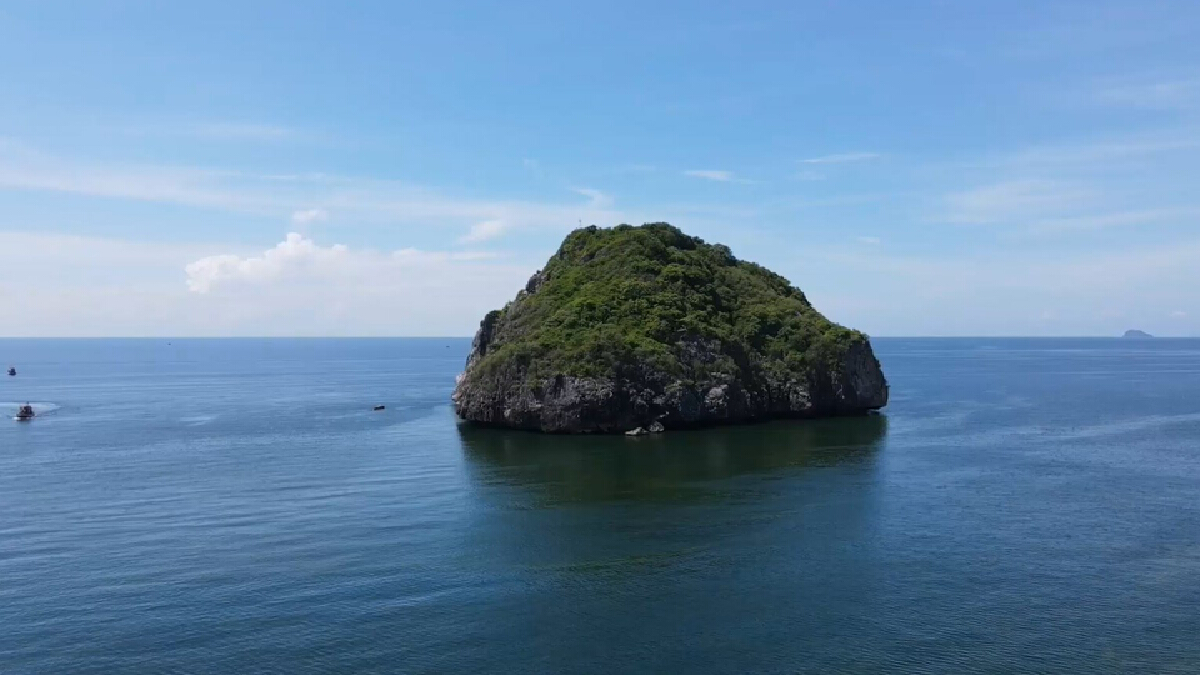 โวยเกาะรังนกพันล้าน 3 ปี ไม่มีผู้ประมูล หวั่นโดนขโมย