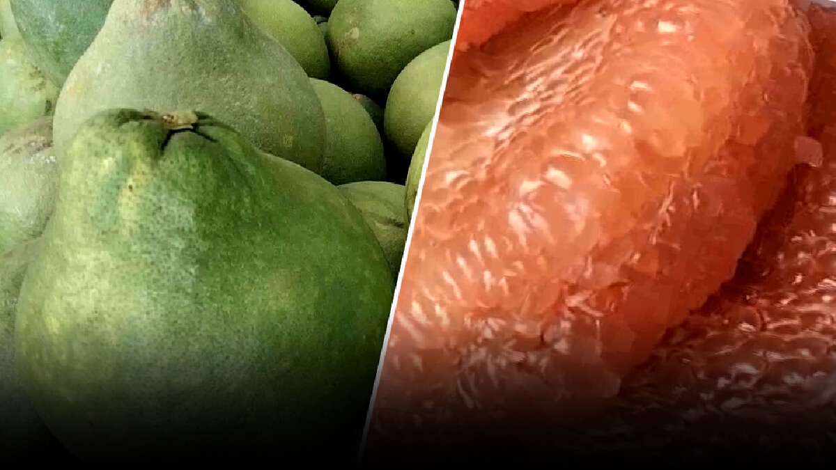 พิษโควิด!ทำส้มโอทับทิมสยามเมืองคอนเดือดร้อนส่งออก ตปท.ไม่ได้
