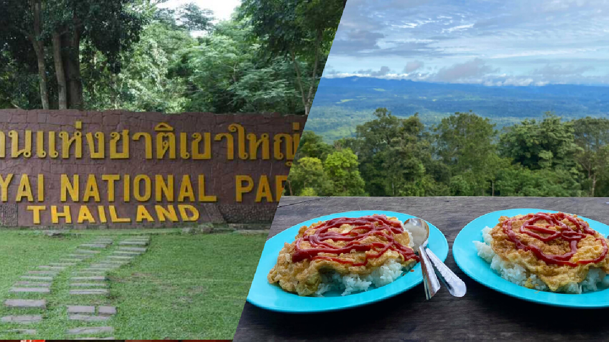 คนนับหมื่นแห่เที่ยวอุทยานแห่งชาติเขาใหญ่สุดสัปดาห์ทุบสถิติทุกปี คนนับหมื่นแห่เที่ยวอุทยานแห่งชาติเขาใหญ่สุดสัปดาห์ทุบสถิติทุกปี