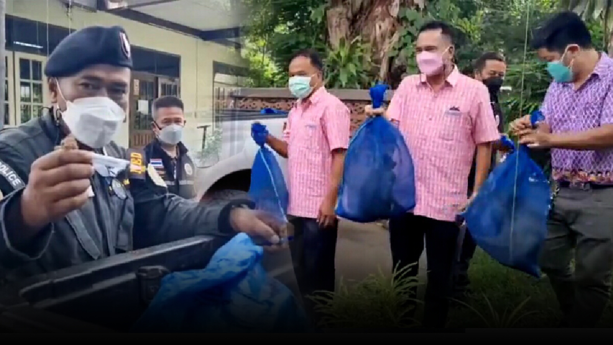 บุกรวบพ่อค้าอ้างตัวเป็นเจ้าหน้าที่แอบจับลิง ส่งขายต่างประเทศ