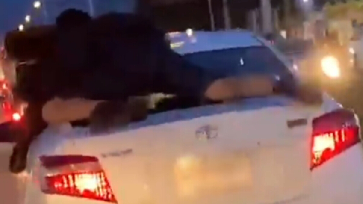 แชร์สนั่น! หนุ่มวิญญาณสไปเดอร์แมนกระโดดเกาะรถง้อสาวกลางถนน