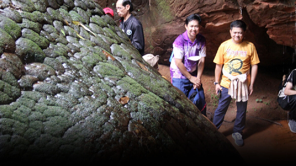 “รองผู้ว่าฯ” พา นทท.ที่ฉีดวัคซีนครบ 2 เข็ม ขึ้นชมถ้ำนาคา