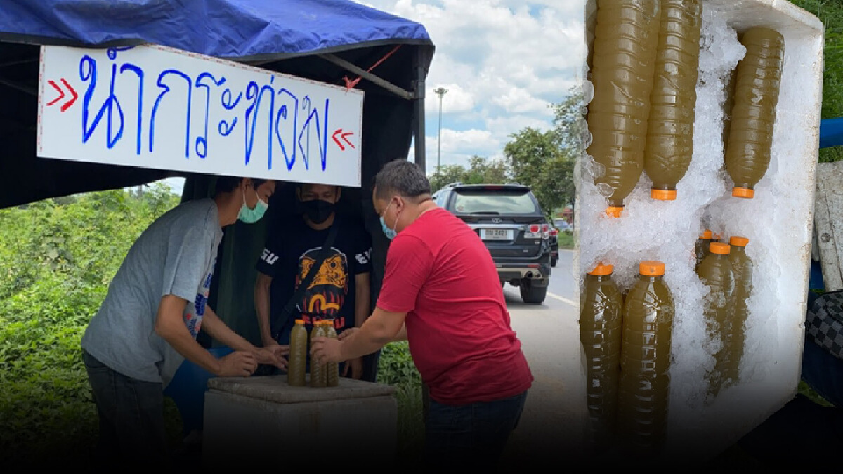 หลังปลดล็อกกระท่อม ชาวบ้านหารายได้ทำน้ำสดแช่ขวดขาย สร้างกำไรอื้อ หลังปลดล็อกกระท่อม ชาวบ้านหารายได้ทำน้ำสดแช่ขวดขาย สร้างกำไรอื้อ