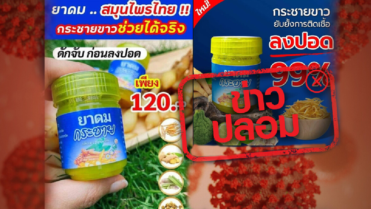 เตือนข่าวปลอม! ยาดมสมุนไพรกระชายขาว สูดดมช่วยดักจับเชื้อ"โควิด"ก่อนลงปอด