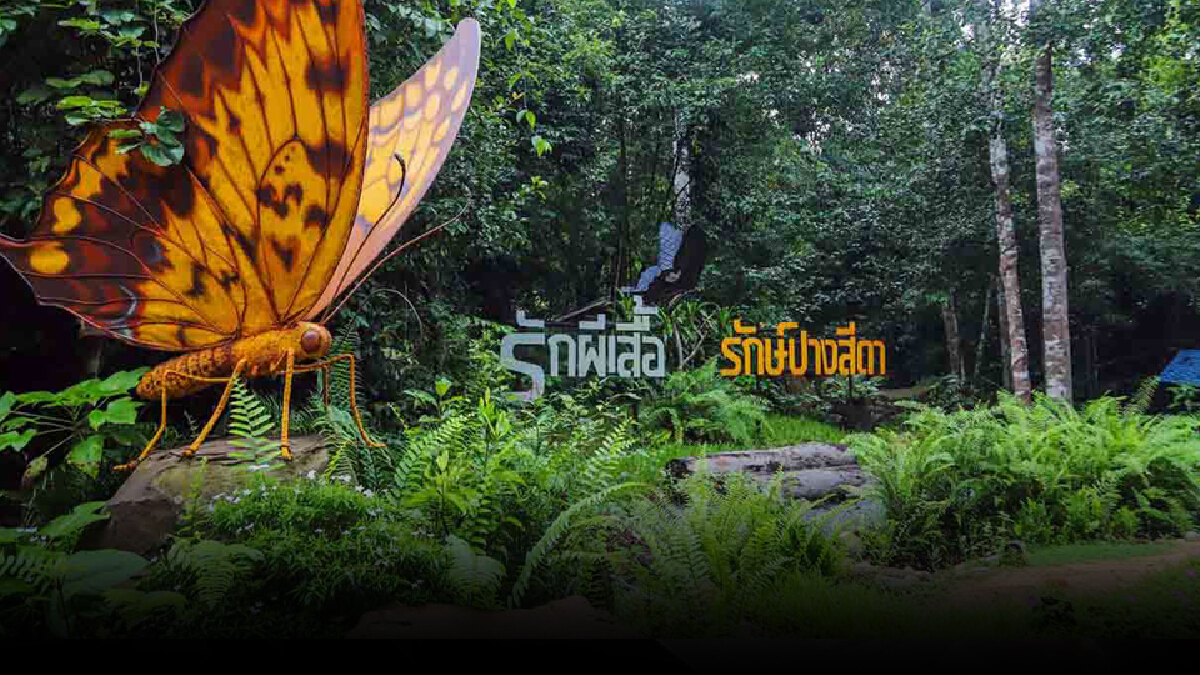 เปิดภาพมุมสูงความอุดมสมบูรณ์ของผืนป่าอุทยานแห่งชาติปางสีดา เปิดภาพมุมสูงความอุดมสมบูรณ์ของผืนป่าอุทยานแห่งชาติปางสีดา