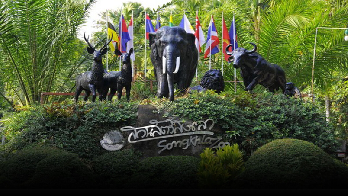 สวนสัตว์สงขลาปิด 14 วัน ซ้อมเพนกวิน-แมวน้ำรอนักท่องเที่ยว