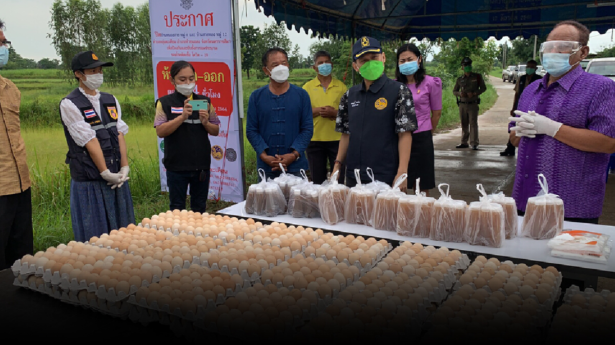 สู้ไปด้วยกัน! อำเภอห้วยแถลงโคราชแจกไข่1หมื่นฟองช่วยชาวบ้าน สู้ไปด้วยกัน! อำเภอห้วยแถลงโคราชแจกไข่1หมื่นฟองช่วยชาวบ้าน