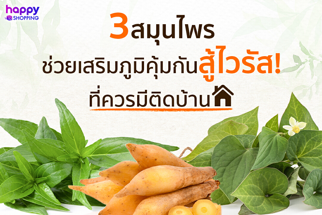 สมุนไพรช่วยเสริมภูมิคุ้มกันสู้ไวรัสที่ควรมีติดบ้าน