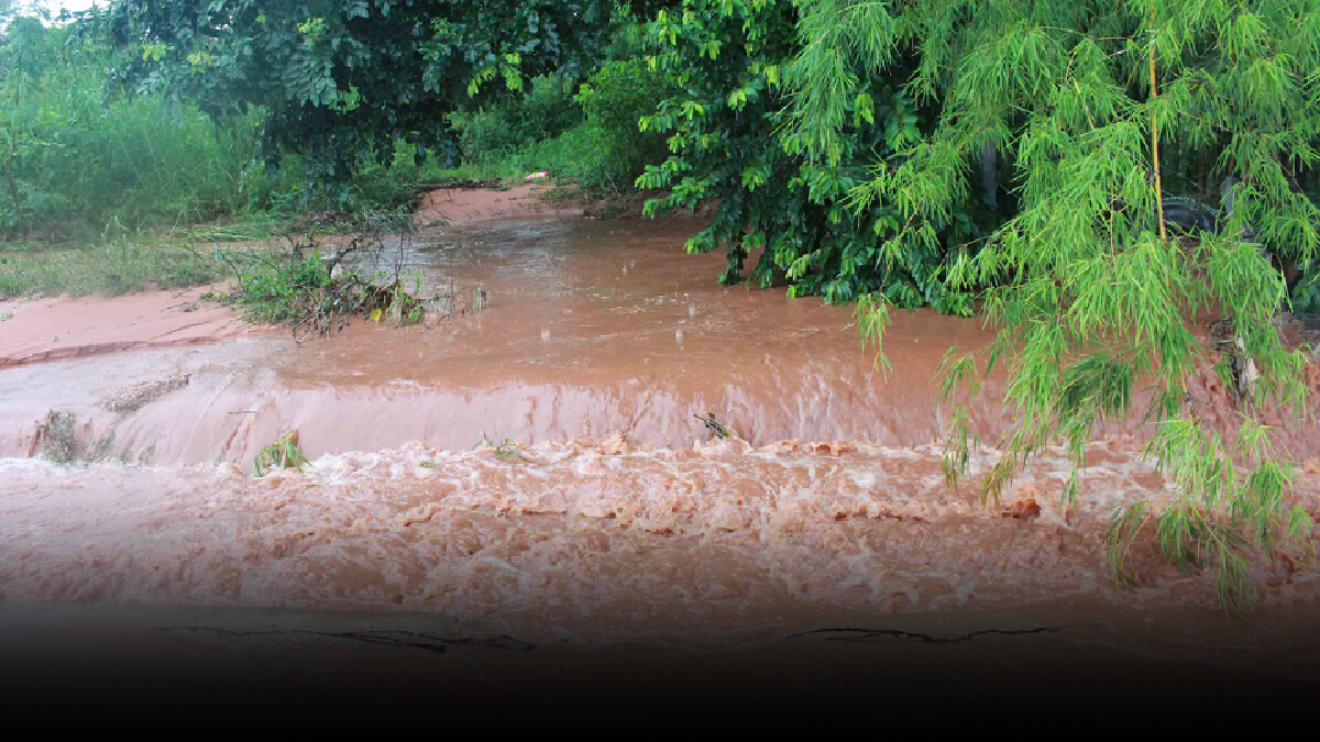 ฝนตกหนักเฝ้าระวังน้ำป่าดงระแนงทะลัก