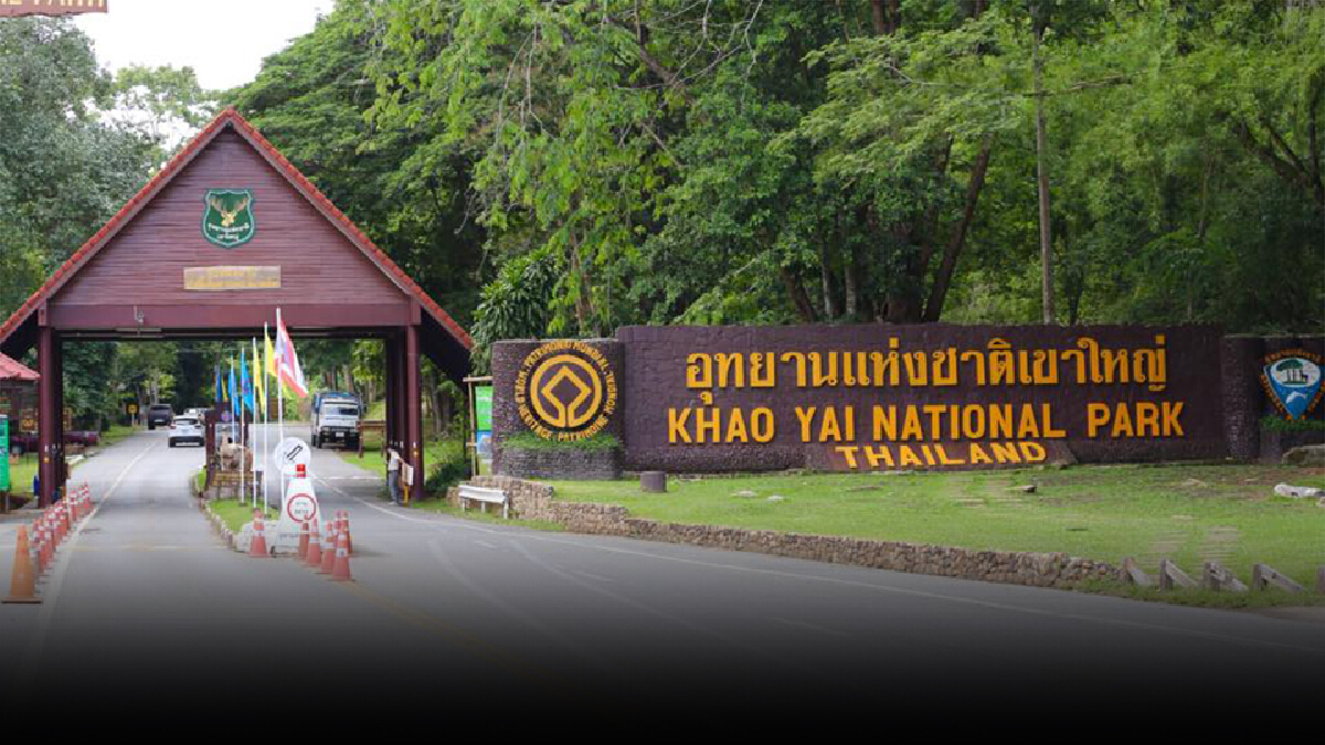 “เขาใหญ่ฟีเวอร์” นักท่องเที่ยวแห่ทะลัก เร่งจัดระเบียบ
