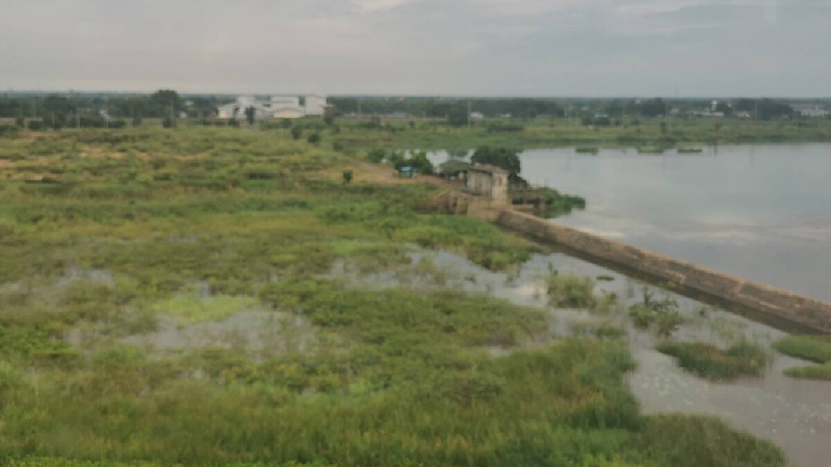 กรมชลฯ บินสำรวจ สถานการณ์น้ำเหนือบึงบอระเพ็ด กรมชลฯ บินสำรวจ สถานการณ์น้ำเหนือบึงบอระเพ็ด