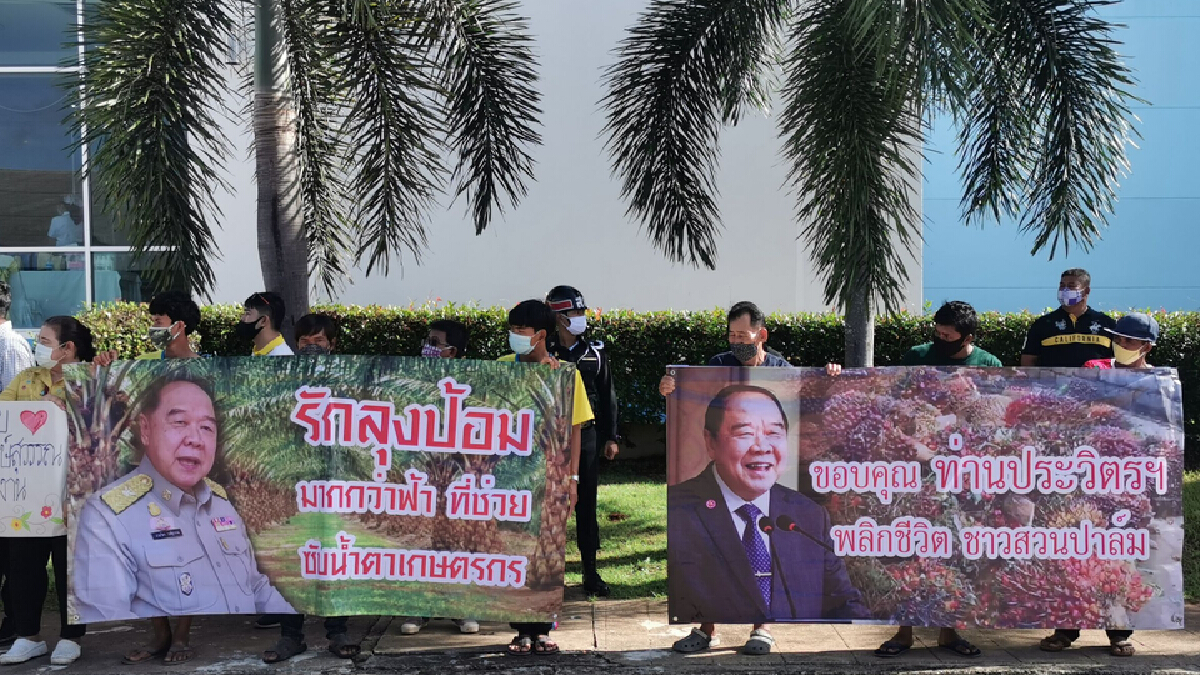 พล.อ.ประวิตร ดันราคาปาล์มทะลุ 8 บาท ส่งตัวเลขไตรมาส 3 สูงถึง 81,000 ล้านบาท พล.อ.ประวิตร ดันราคาปาล์มทะลุ 8 บาท ส่งตัวเลขไตรมาส 3 สูงถึง 81,000 ล้านบาท