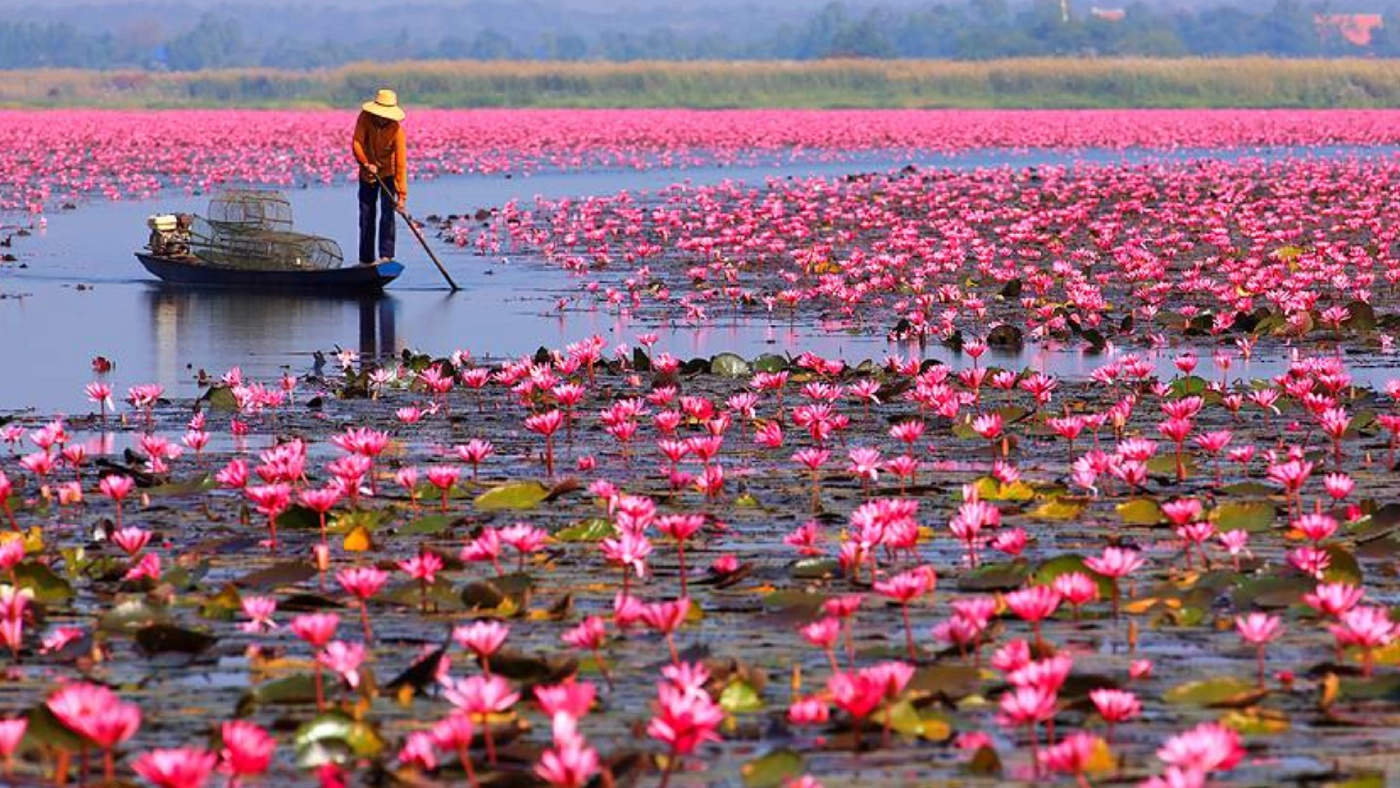 1 พ.ย. อุดรธานีเร่งเปิดเมืองรับ " เขยฝรั่ง-เศรษฐีเพื่อนบ้าน"