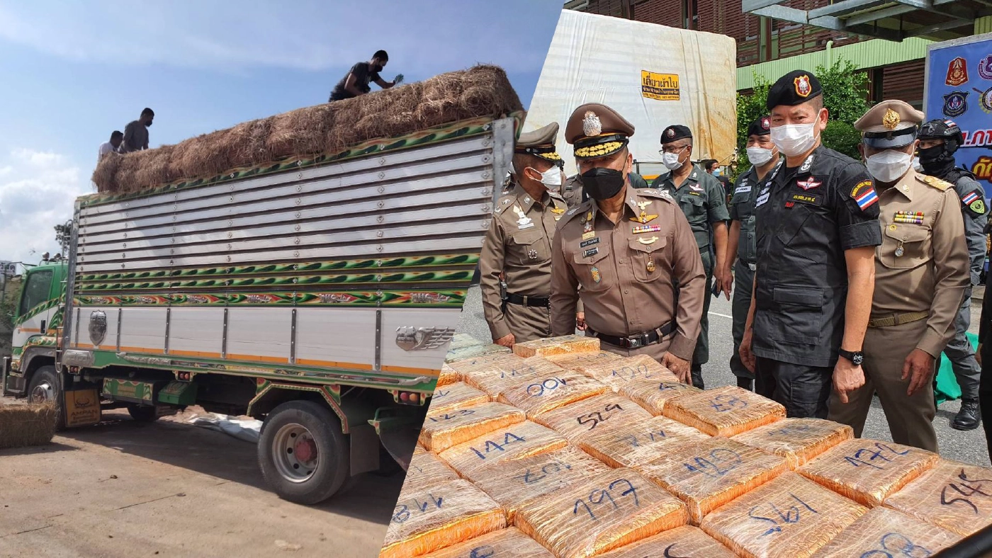 ตร.-ทหาร โชว์ผลงานจับยึดกัญชา 999 กิโลฯ มูลค่า 50 ล้านบาท ตร.-ทหาร โชว์ผลงานจับยึดกัญชา 999 กิโลฯ มูลค่า 50 ล้านบาท
