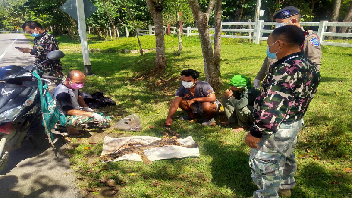 สกัดจับหนุ่มเมียนมา-ยึดหนังเสือลายเมฆ สกัดจับหนุ่มเมียนมา-ยึดหนังเสือลายเมฆ