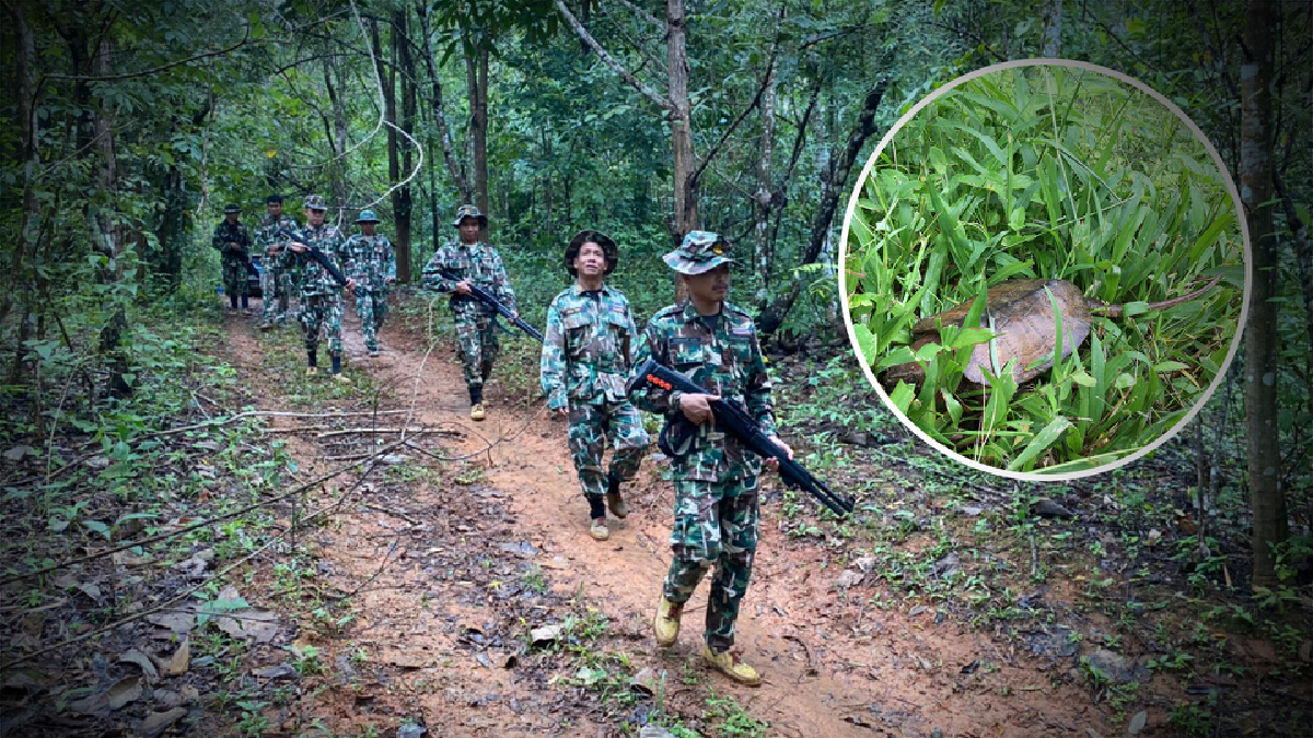 พบ "เต่าปูลู" ในเส้นทางศึกษาธรรมชาติน้ำตกนันทบุรี ชี้ความสมบูรณ์ผืนป่า พบ "เต่าปูลู" ในเส้นทางศึกษาธรรมชาติน้ำตกนันทบุรี ชี้ความสมบูรณ์ผืนป่า