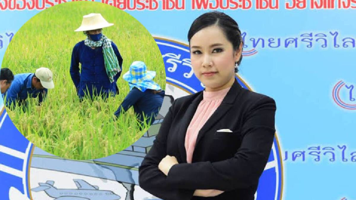 รองหัวหน้าพรรคไทยศรีวิไลย์ ชี้ น้ำท่วมทำความหวังชาวนาพังทลาย รองหัวหน้าพรรคไทยศรีวิไลย์ ชี้ น้ำท่วมทำความหวังชาวนาพังทลาย
