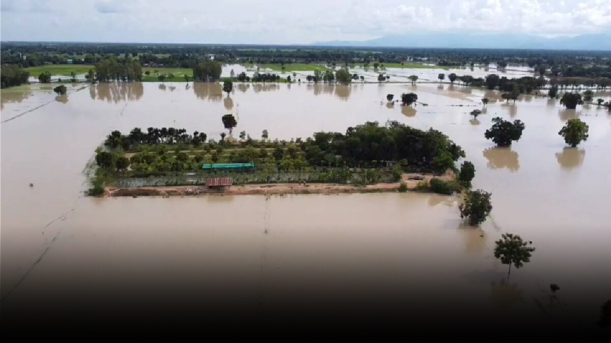 "แปลงโคก หนอง นา"เดินตามรอยพ่อหนึ่งเดียวในสุโขทัย ฝ่าวิกฤตรอดพ้นจมบาดาล