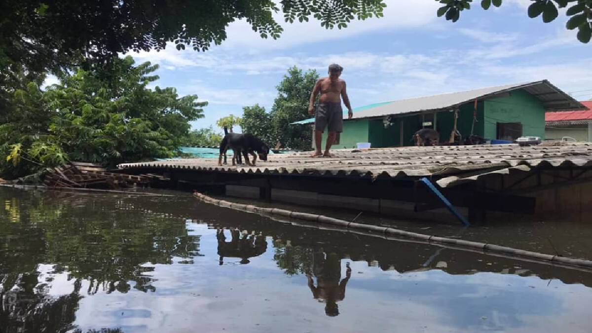 ส.ส.พีระวิทย์ แนะ "บิ๊กตู่" เยือนสระบุรีตรวจน้ำท่วม ส.ส.พีระวิทย์ แนะ "บิ๊กตู่" เยือนสระบุรีตรวจน้ำท่วม